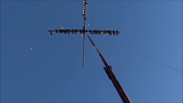 Голуби серпастые ...... на синеве. смотреть онлайн