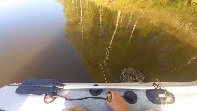 РЫБАЛКА НА ОБИ 2022 В Ташаре смотреть онлайн