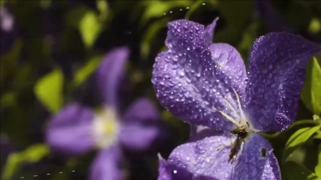 Мантра мира смотреть онлайн