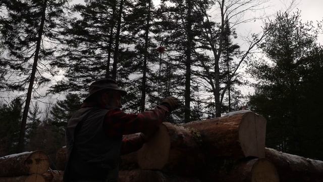 The Calm Before the Storm, Full Scribing and Insulating Wall Logs with Moss смотреть онлайн