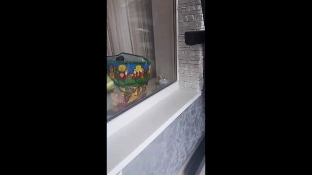 Венецианская штукатурка с декоративным камнем