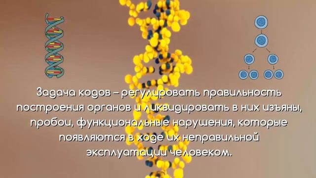 Коды лечения человека Откуда появились Нонна Левоновна Мараховская смотреть онлайн