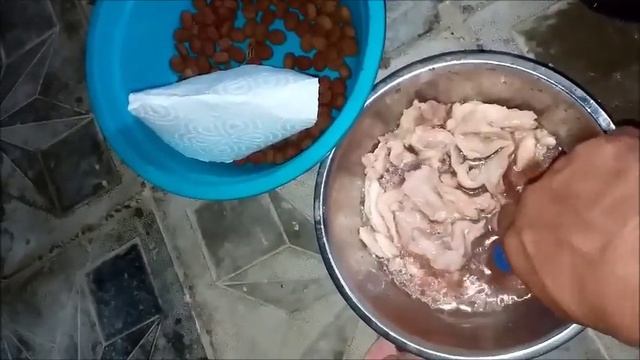 Про кошек, про навес, про Черныша