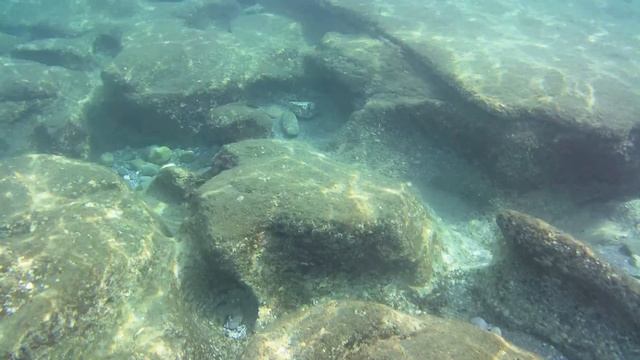 ПОДВОДНЫЙ МИР СРЕДИЗЕМНОГО МОРЯ. Турция 2021., Аланья/Махмутлар. смотреть онлайн