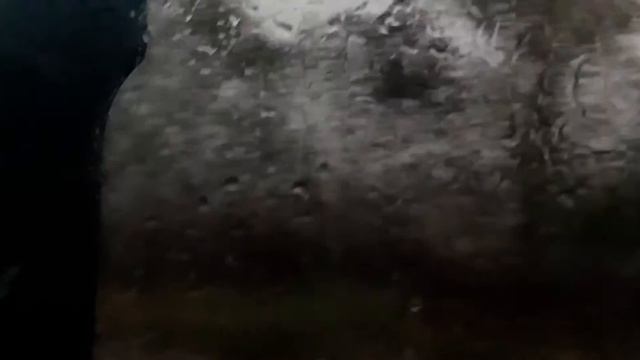 Ураган на трассе Одесса Измаил 3 июля 2019 смотреть онлайн