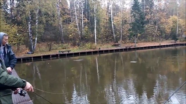 Хороший клёв форели в прохладную погоду. Клёвое место лосиный остров смотреть онлайн