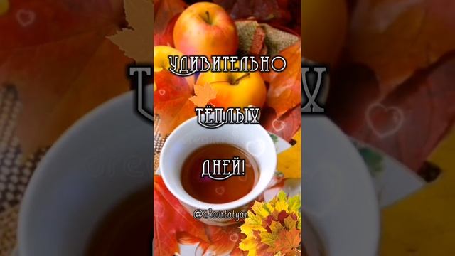 Доброе Осеннее утро! ???