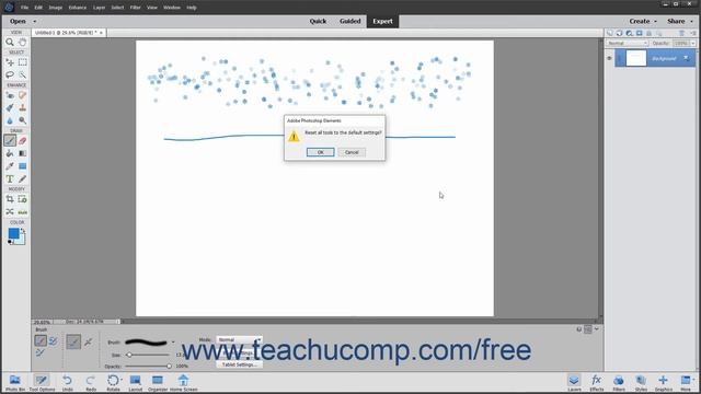 Photoshop Elements 2020 Tutorial Resetting Brush and Tool Settings Adobe Training смотреть онлайн