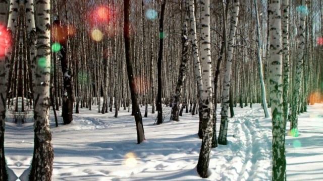 13 февраля народный праздник Никиты Печерского. Что нельзя делать. Народные традиции и приметы. смотреть онлайн