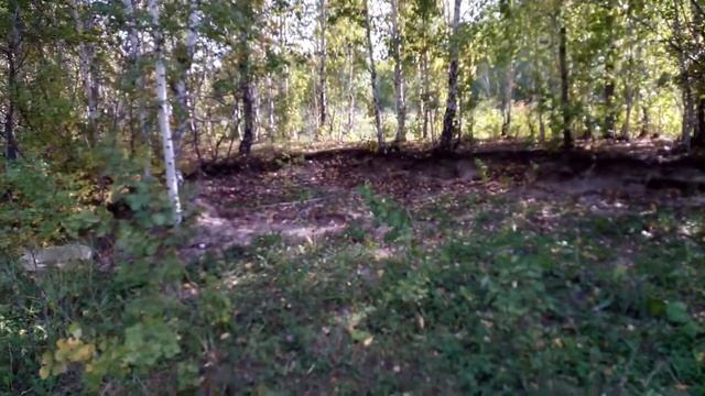 Ветер, Шум леса. 19 сентября. смотреть онлайн