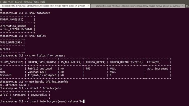 Python MySQL | Client Testing смотреть онлайн