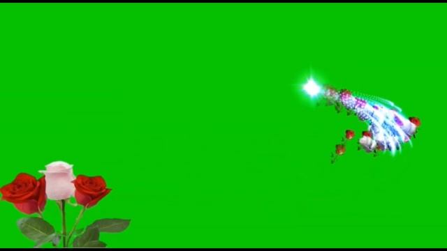 rose flower green screen effects смотреть онлайн