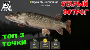 ТОП 3 ТОЧКИ НА ОСТРОГЕ ДЛЯ ФАРМА ЩУКИ В РУССКОЙ РЫБАЛКЕ 4 РР4