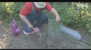 ОФОРМЛЯЕМ ПРИСТВОЛЬНЫЕ КРУГИ ПРАВИЛЬНО