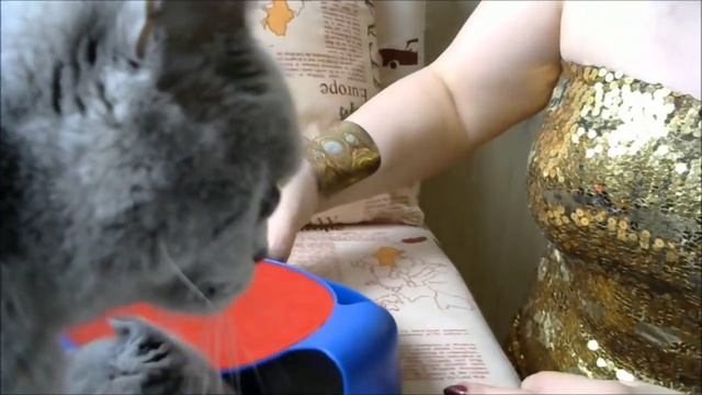 ИДЕАЛЬНАЯ ИГРУШКА ДЛЯ КОШЕК И КОТЯТ "ПОЙМАЙ МЫШЬ".ПОСЫЛКА ОТ ПОДПИСЧИКА. смотреть онлайн