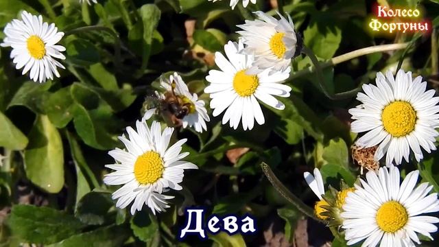 Сказочное везение ожидает 5 знаков Зодиака в апреле 2021 года смотреть онлайн