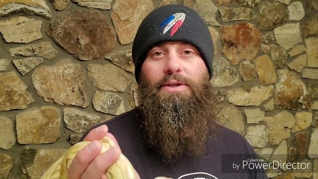 Ball Python vs Super Dwarf Reticulated Python смотреть онлайн