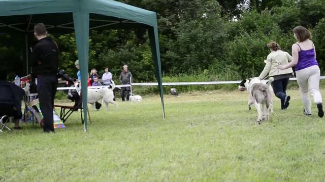 Выставка "Солнцестояние 2013", моно САО, 22.06.13 г. смотреть онлайн