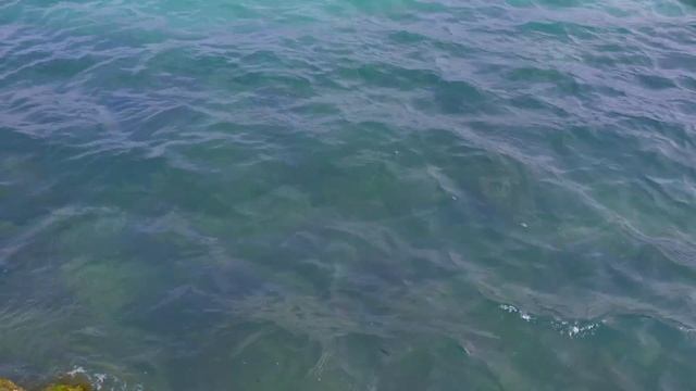 Это происходит в Феодосии прямо сейчас? Увиденное поражает! Крым сегодня последние новости 2023 смотреть онлайн