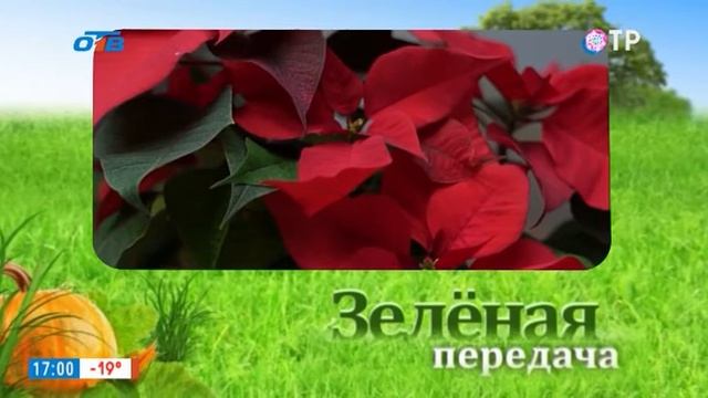 Переход с "ОТР" на "ОТВ" (Челябинск) (06.01.2021, 17:00) смотреть онлайн