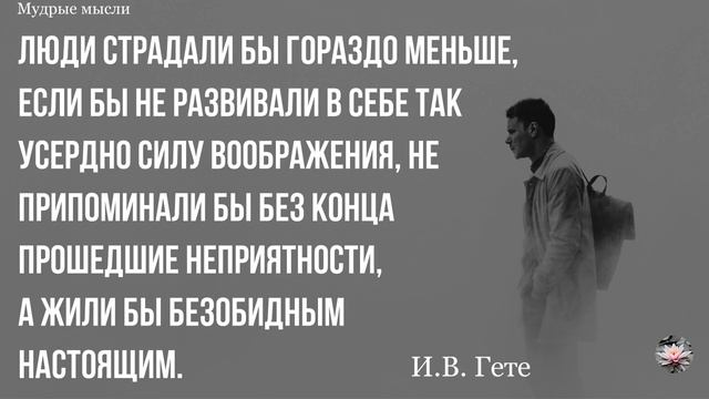 Цитаты о Жизни со Смыслом смотреть онлайн