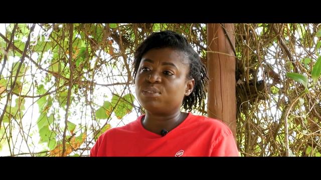 GIZ: Meet Georgina, an organic agribusiness entrepreneur in Ghana смотреть онлайн