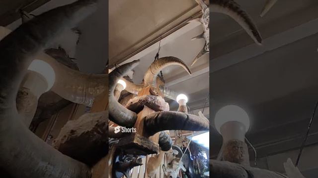 Люстра с рогами тура смотреть онлайн