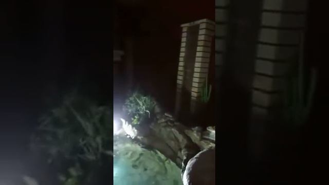 искусственный водопад смотреть онлайн