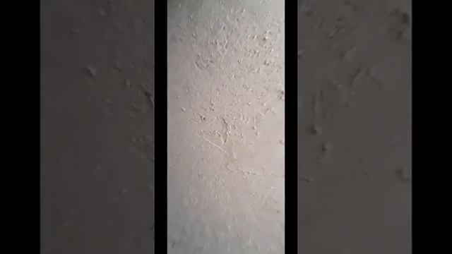 Штукатурим прихожую у Нура и Гунчи смотреть онлайн