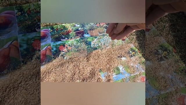 Мастерство и Поддержка