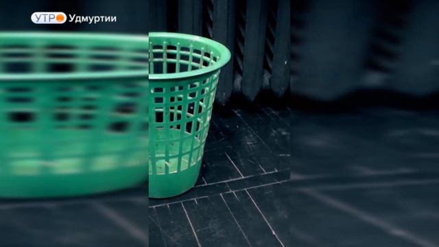 Ижевский любительский театр «Горожане» готовится представить зрителю спектакль «Босс» смотреть онлайн