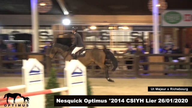 Nesquick Optimus °2013 (Ut Majeur de Brécey x Richebourgh) CSIYH Lier finale смотреть онлайн
