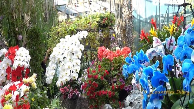 Gardens by the Bay - Singapore Places to visit - 2021 - Singapore Top Attractions смотреть онлайн