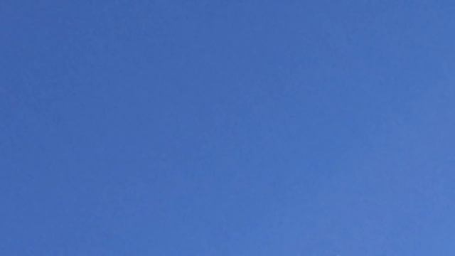 Голуби как дети.3.03.19г. смотреть онлайн