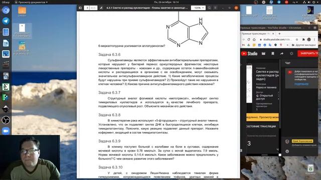 Синтез и распад нуклеотидов (решение задач) смотреть онлайн