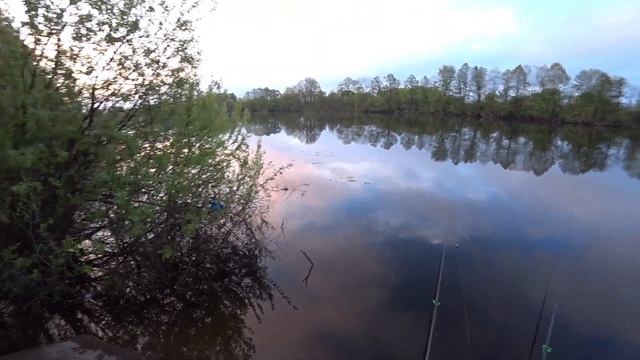 Карась и ротан на поплавочную удочку. Рыбалка на озере. смотреть онлайн