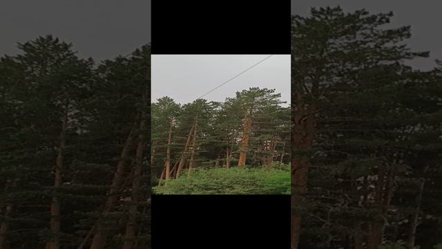 Гроза смотреть онлайн