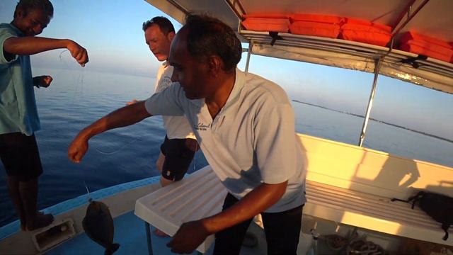 Мальдивы. Вечерняя рыбалка. Поймали ската... и отпустили смотреть онлайн