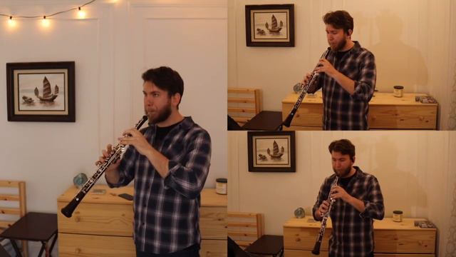 Vivaldi Concerto for Violin RV 230 - Liam Boisset, Oboe смотреть онлайн
