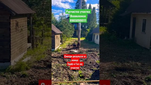 КУПИЛ ТОРФЯНОЙ УЧАСТОК. ДЕЛАЮ РАСЧИСТКУ #участок #стройка #дача #дачныйвлог #экскаватор #jcb #дрена смотреть онлайн