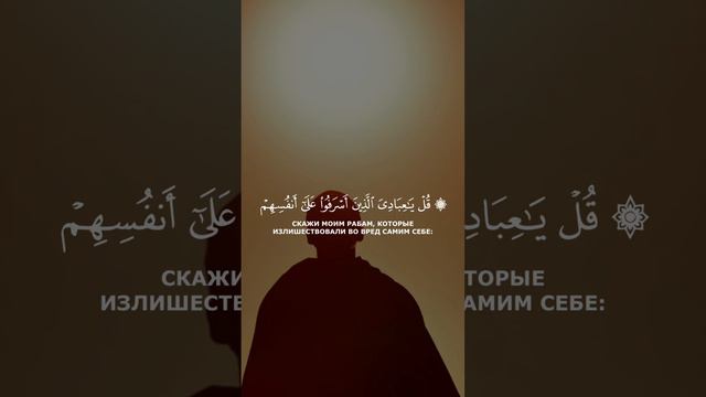 Вернись к Аллаху! #ислам #истина #сунна #коран #сура #религия #пророк #рекомендации #аллах #religio смотреть онлайн