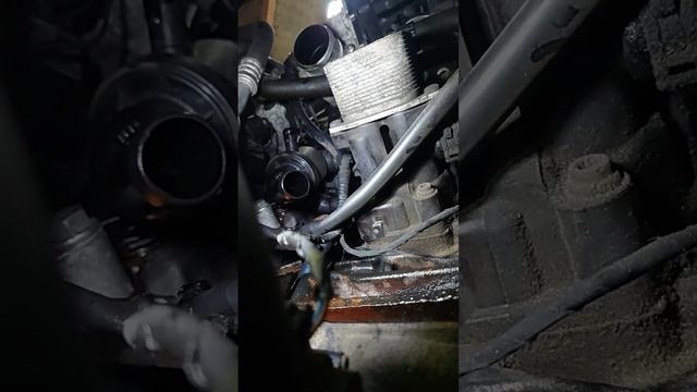 Audi A3 2.0TDİ Thermostat replacment смотреть онлайн