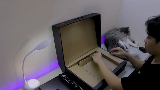 ASUS ROG STRIX G15 G513QM | AMD RYZEN 9 5900HX, RTX 3060, 300Hz смотреть онлайн