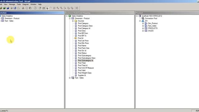 Design Presentation Layer in OBIEE 12C Repository смотреть онлайн