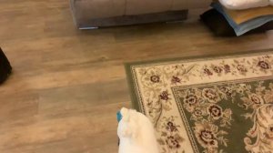 Готовлюсь к соревнованиям/Влог-тренеровка#хоббихорсинг#соревнования