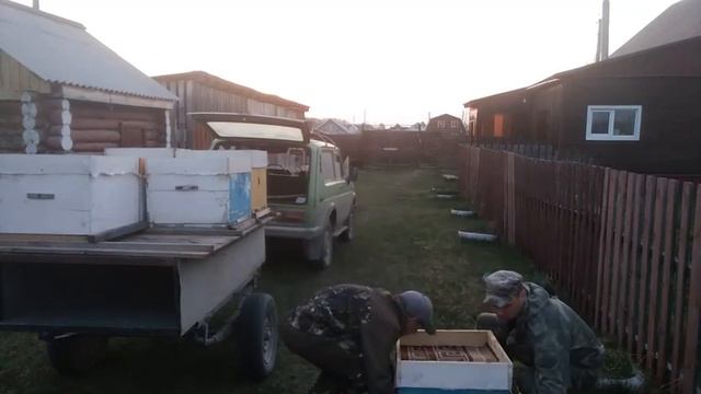 Лесной точок. Вывез пасеку. 13.05.2022г. Кыштовка смотреть онлайн