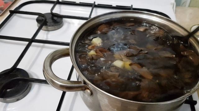 Вдохновение с каждым Укусом