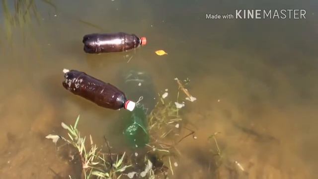 Рыбалка без удочки смотреть онлайн
