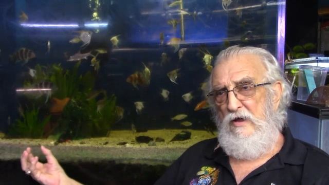 5 ELEMENTS OF A BALANCED AQUARIUM - FATHER FISH || FOREVER AQUARIUMS смотреть онлайн