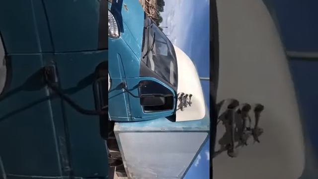 Разбираем Валдай в Екатеринбурге смотреть онлайн